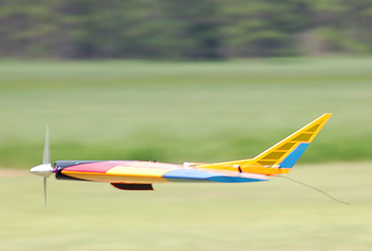 Thwing! - Radio Control Delta Flying Wing Aircraft